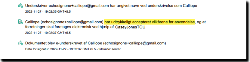 Udtrykkeligt samtykke før visning i revisionsloggen