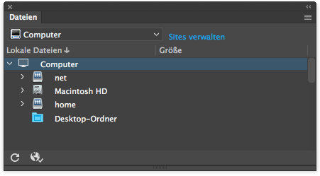 Erscheinungsbild des Bedienfelds „Dateien“, wenn keine Site in Dreamweaver definiert ist