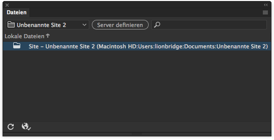 Erscheinungsbild des Bedienfelds „Dateien“, wenn eine Site, aber keine Server in Dreamweaver definiert sind