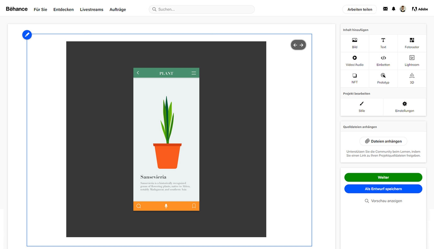 Klicken Sie auf „Weiter”, um das Projekt zu veröffentlichen.