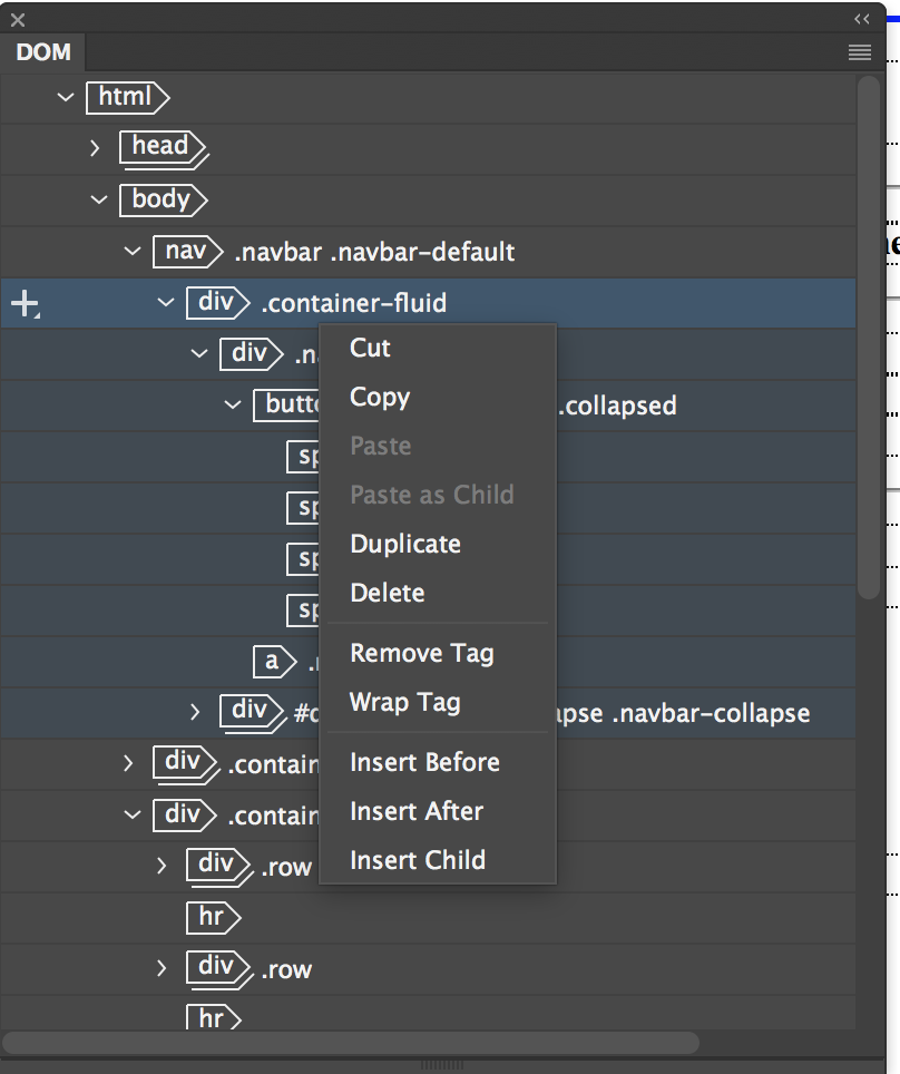 Editing options in the DOM panel