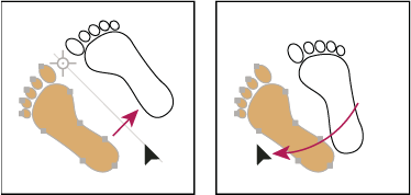 Dragging to rotate the axis