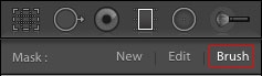 Brush controls in Lightroom Classic CC
