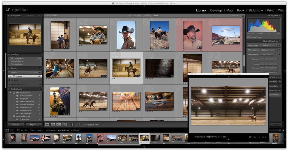 Lightroom Classic CC Library module and Loupe view