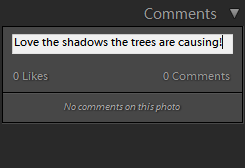 Lightroom Classic CC Type feedback or add a comment in the Comments section