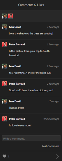 Lightroom Classic CC Feedback and comments for a photo