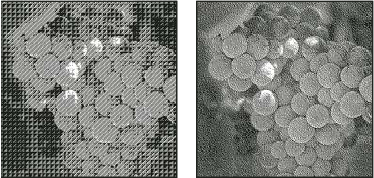 Photoshop Pattern Dither conversion method