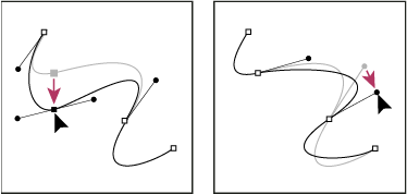 Photoshop Drag the anchor point or the direction point