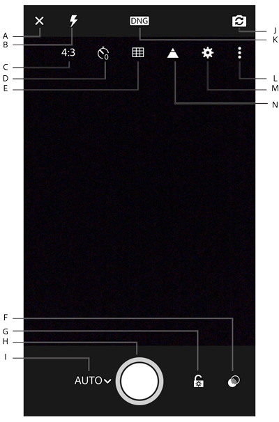 Opciones de la interfaz de captura en el modo automático.