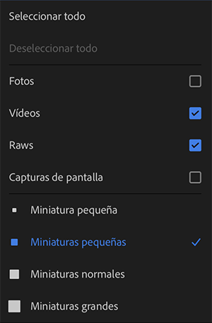 Opciones de importación