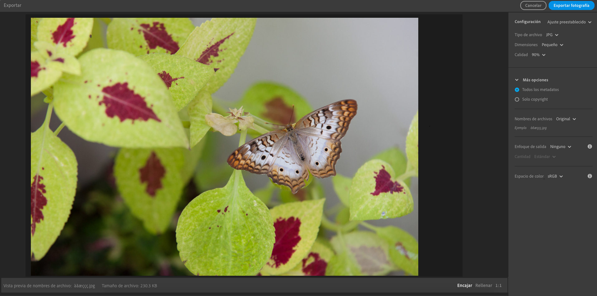 Opciones de exportación en Lightroom para equipos de escritorio