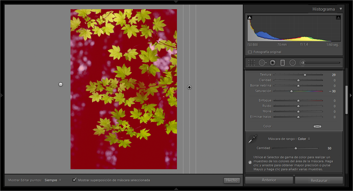 Máscara de gama de colores que abarca los tonos de fondo en la fotografía.