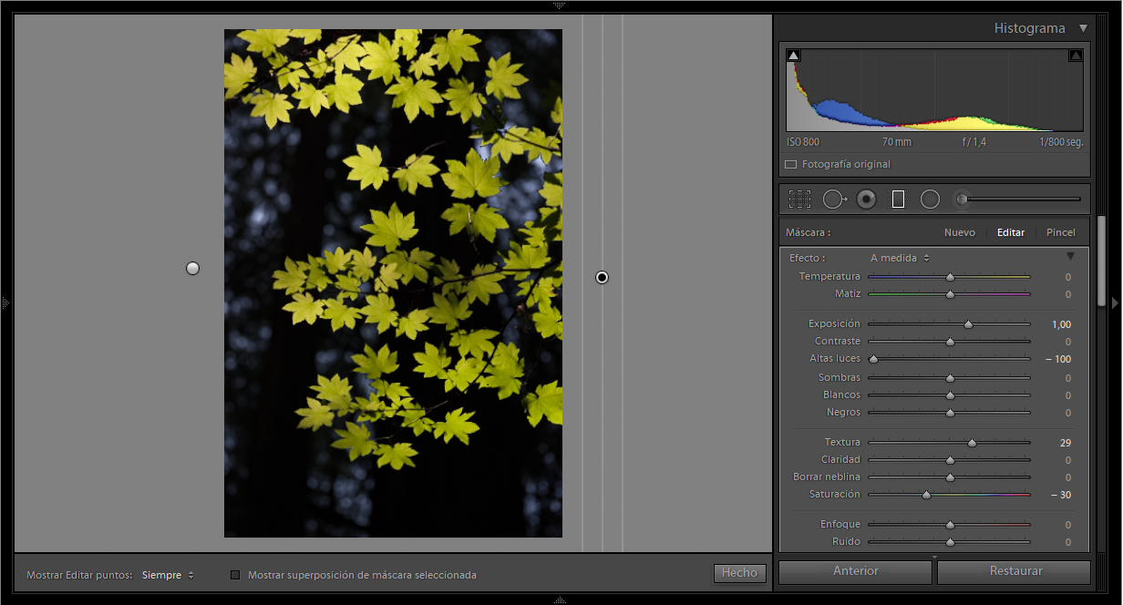 Ajustes locales aplicados a la máscara de color.