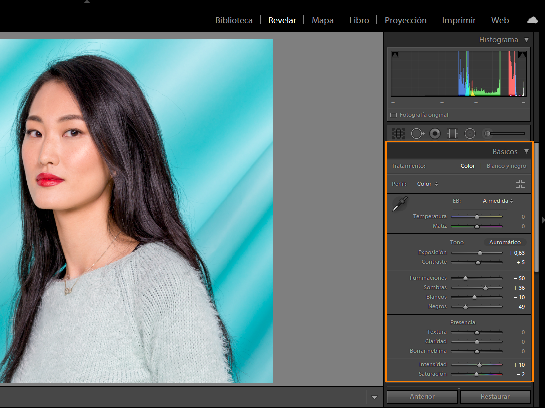 El panel Básico del módulo Revelar de Lightroom Classic