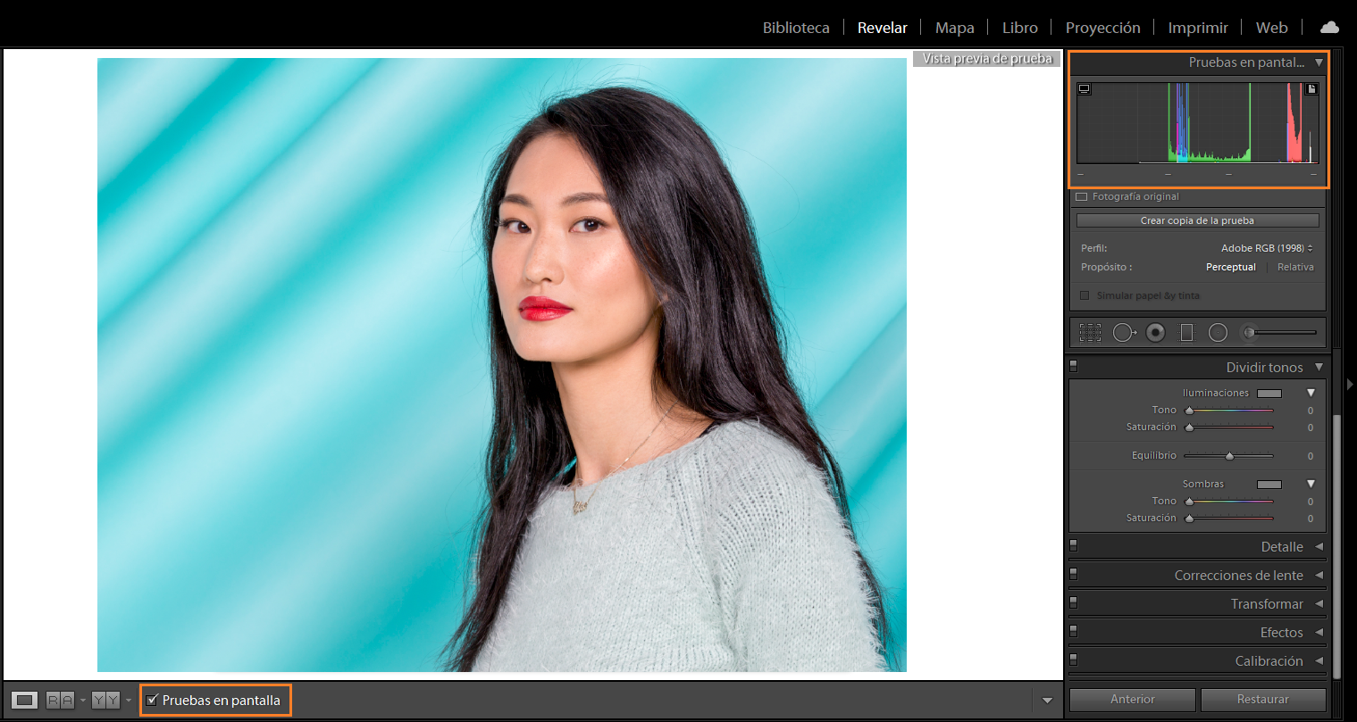 Pruebas en pantalla en el módulo Revelar de Lightroom Classic