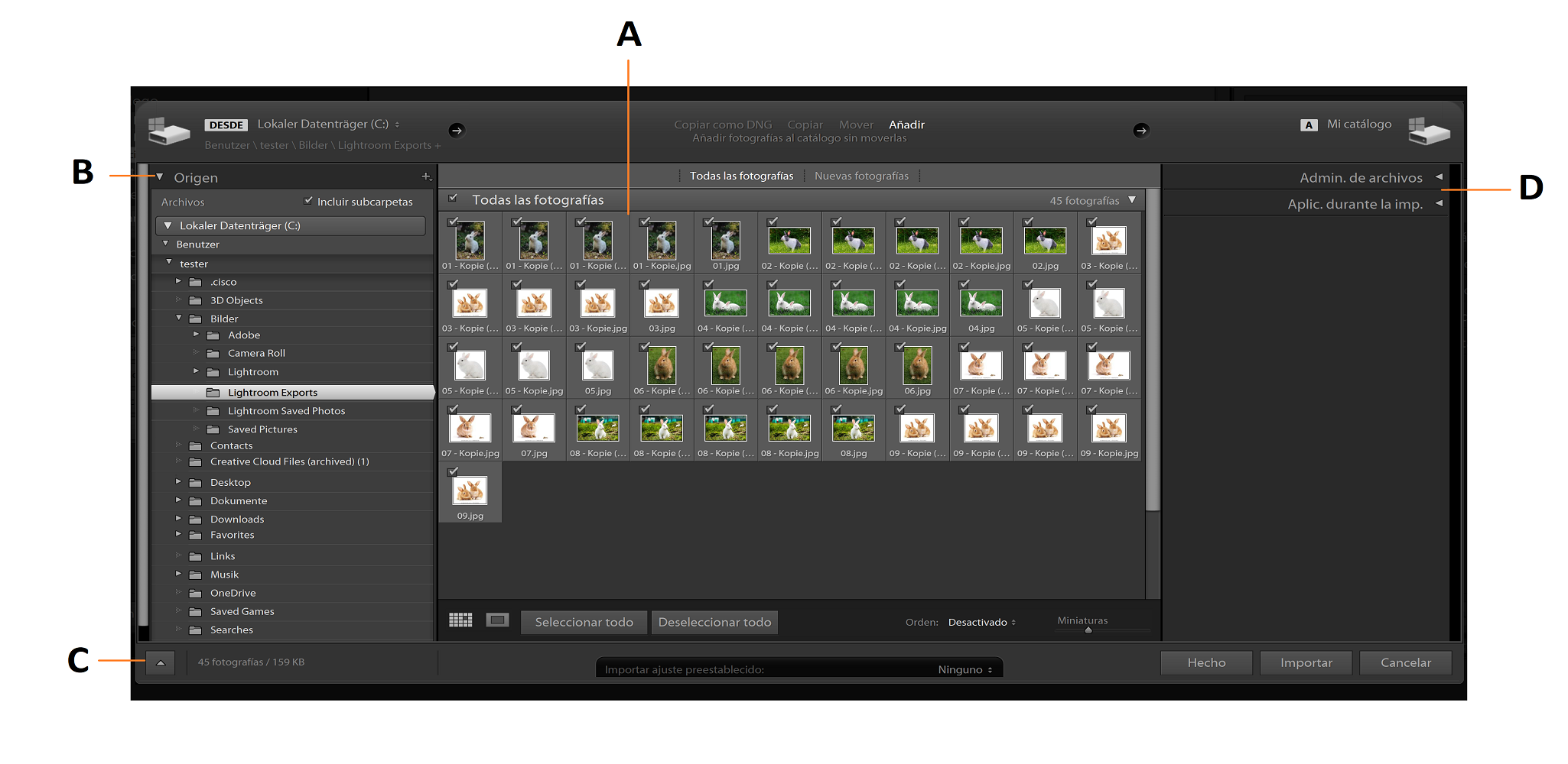 La ventana de importación de Lightroom Classic.