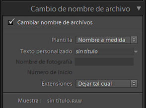 Cambio de nombre de archivo