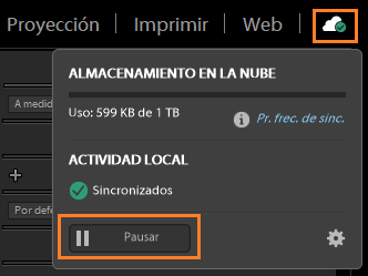 Pausar la sincronización