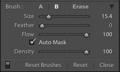 Ajustes del pincel en Lightroom Classic CC