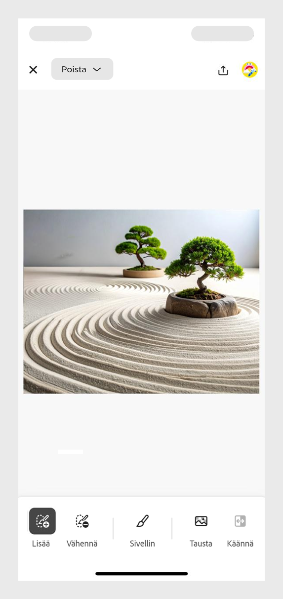 Minimalistinen zen-puutarha, jossa on haravoitua hiekkaa, bonsaipuita ja seesteinen tunnelma. 