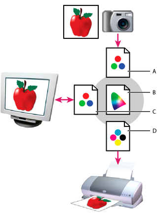 Gestion des couleurs à l’aide de profils dans Photoshop