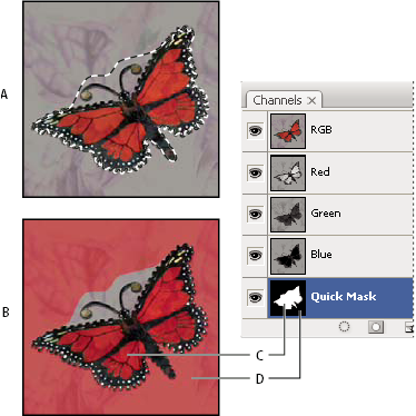 Mode Standard et mode Masque dans Photoshop