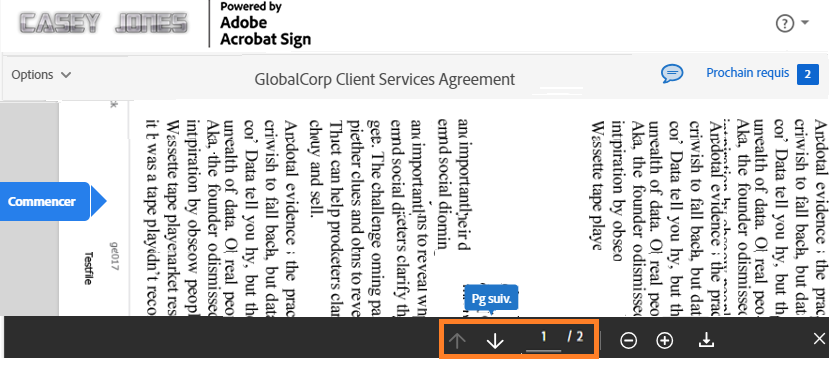 Page de signature électronique avec les commandes de navigation mises en évidence au bas de la page.