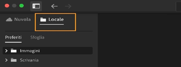 Scheda Locale in Lightroom per accedere alle foto archiviate localmente.