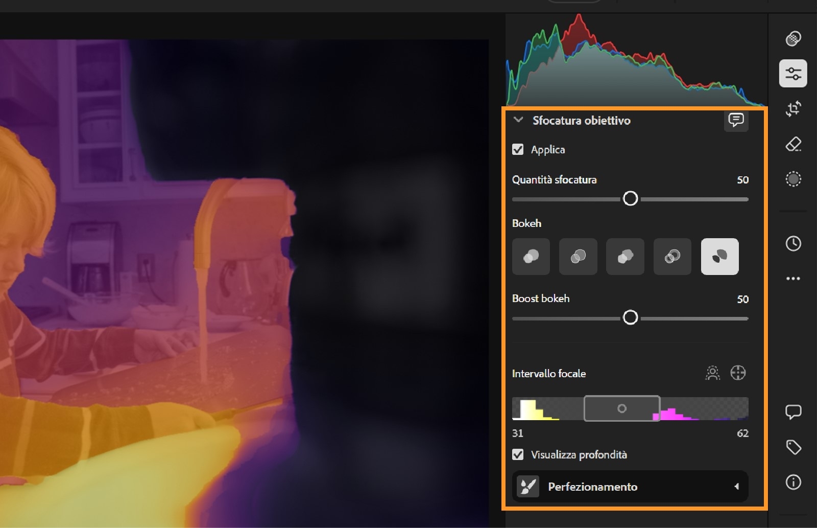 L’immagina mostra una foto sfocata, con un’interfaccia Sfocatura con lente sul lato destro. Tale interfaccia fornisce impostazioni regolabili per l’effetto Sfocatura con lente, come “Quantità sfocatura”, “Bokeh”, “Boost bokeh”, “Intervallo luce” e “Intervallo focale”. L’istogramma sopra i controlli mostra i livelli dei colori rosso, verde e blu. L’immagine è interessante dal punto di vista delle tecniche di editing fotografico e degli effetti di profondità di campo.