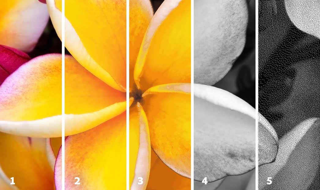 Esempi di diversi metodi di colore in Photoshop