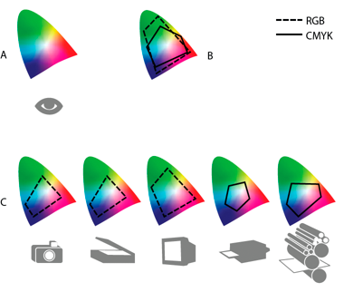 Gamme di colore per dispositivi e documenti diversi in Photoshop