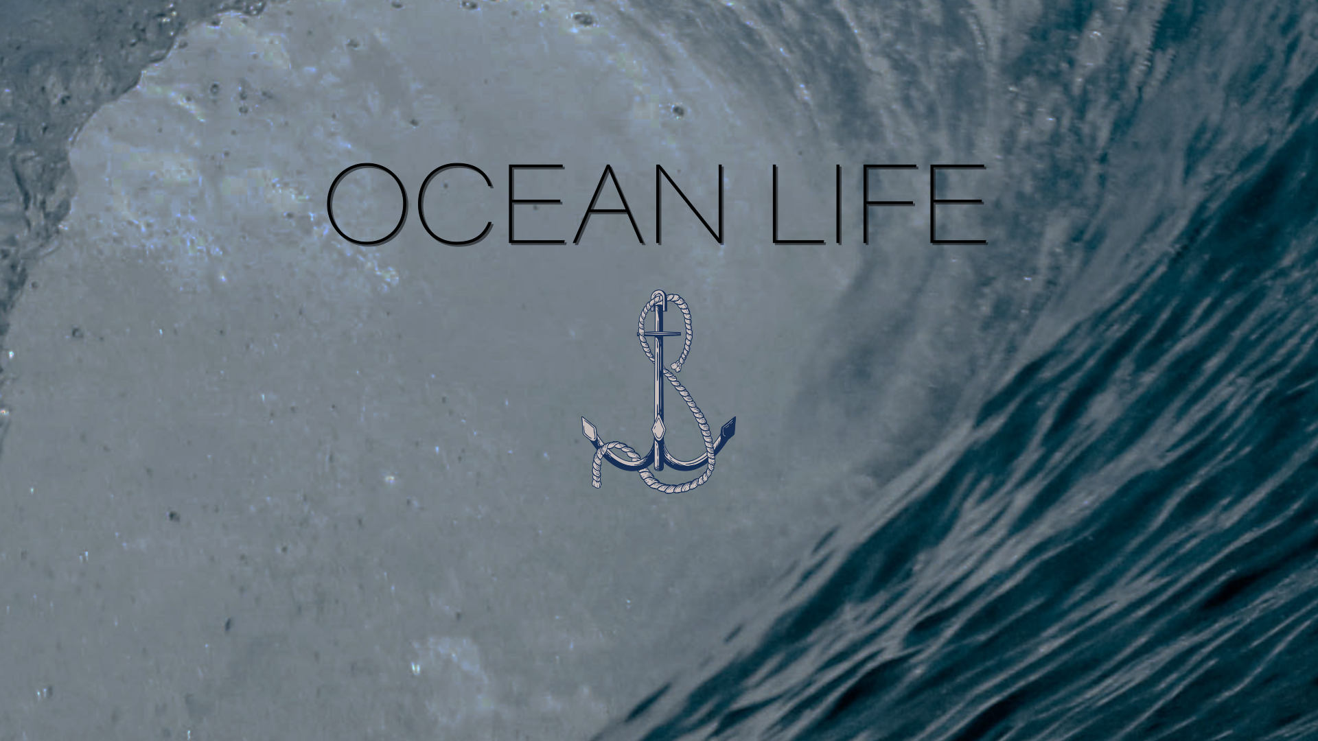 Modello di grafica animata personalizzato in Premiere Pro