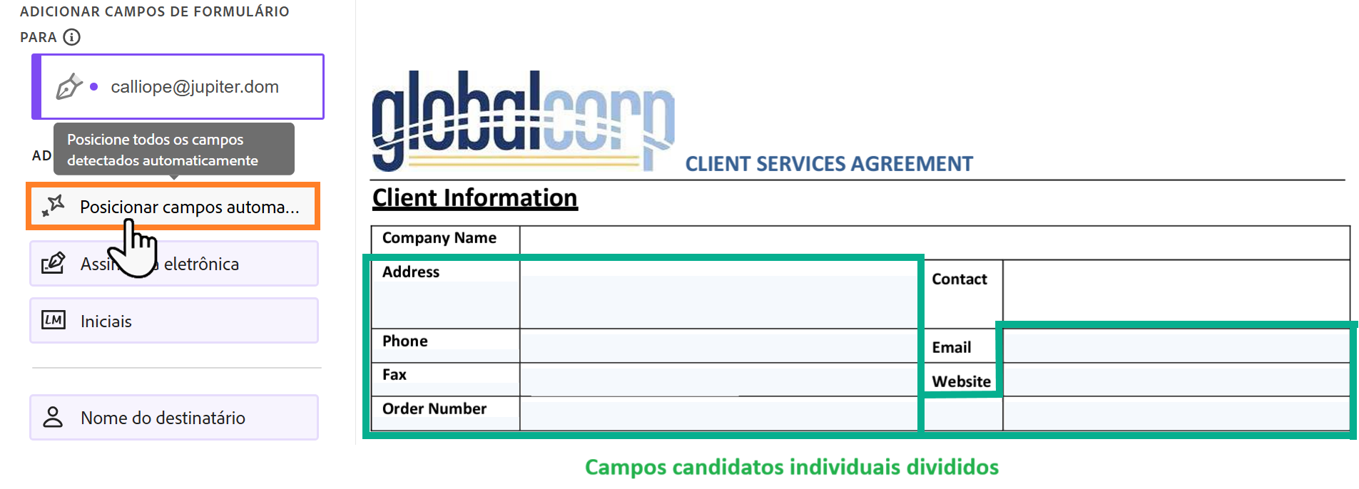 O ambiente de criação com o botão Preencher automaticamente e vários campos propostos realçados.
