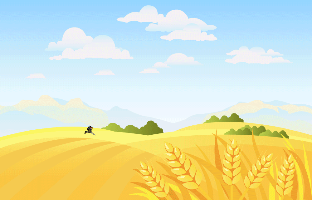 无图层深度的内容